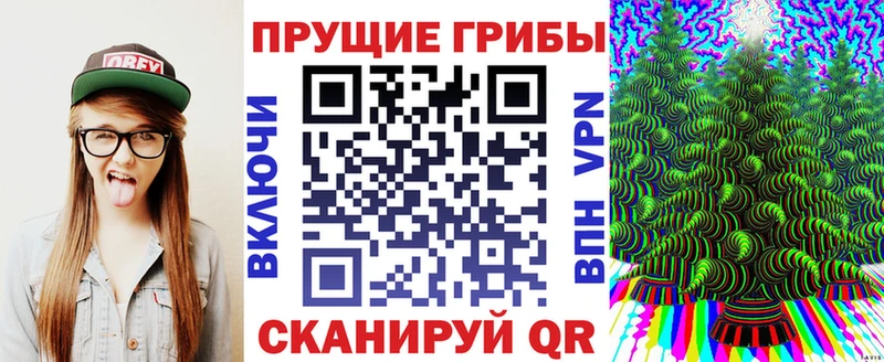 как найти закладки  Минусинск  Галлюциногенные грибы прущие грибы 