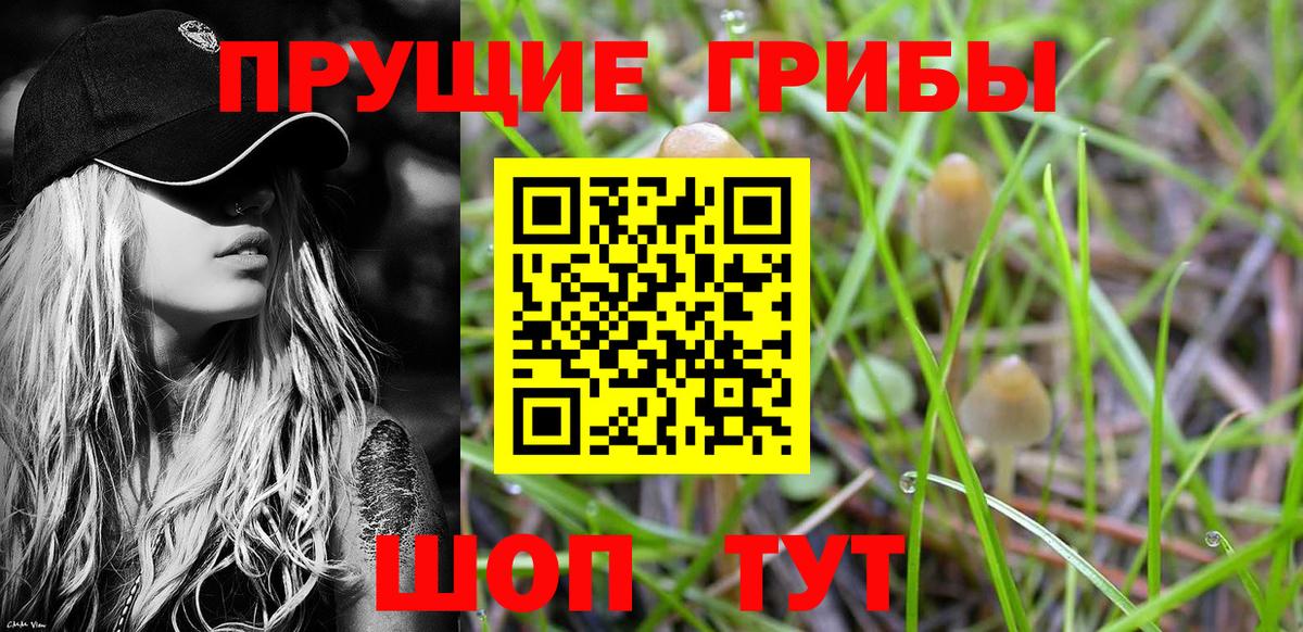 Минусинск  Псилоцибиновые грибы мицелий  Вход с VPN 