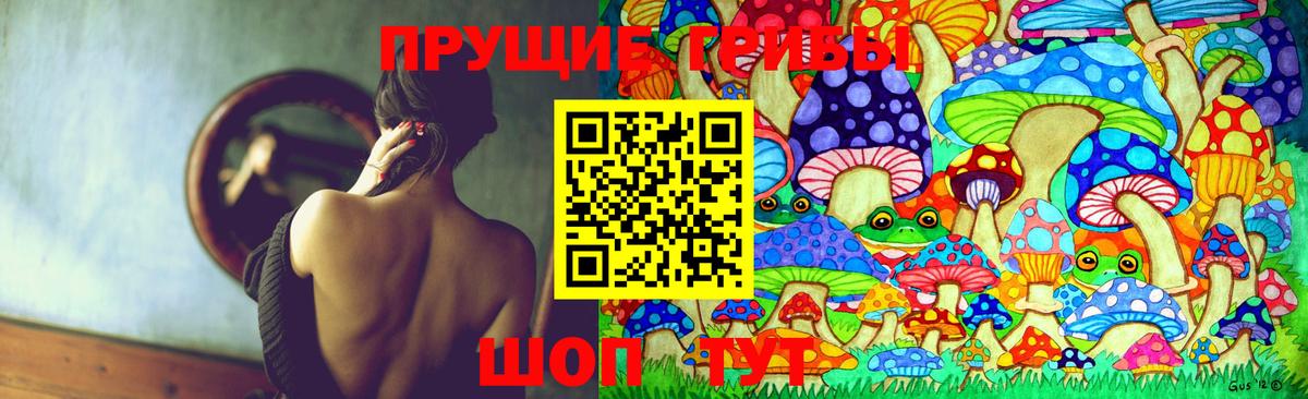 Галлюциногенные грибы прущие грибы Минусинск
